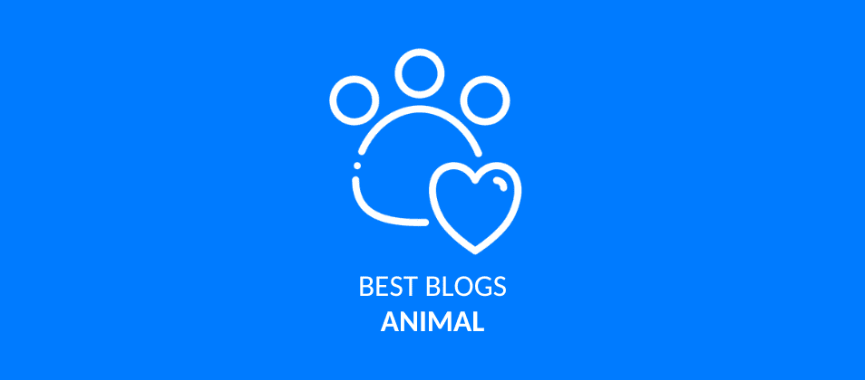 The 16 best pet & animal blogs in English