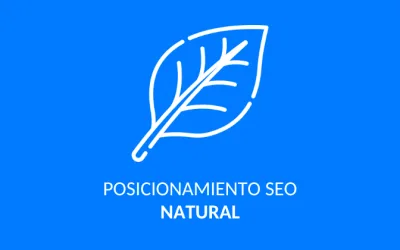 Posicionamiento natural en Google