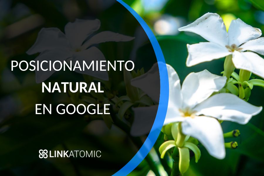 Posicionamiento natural en Google